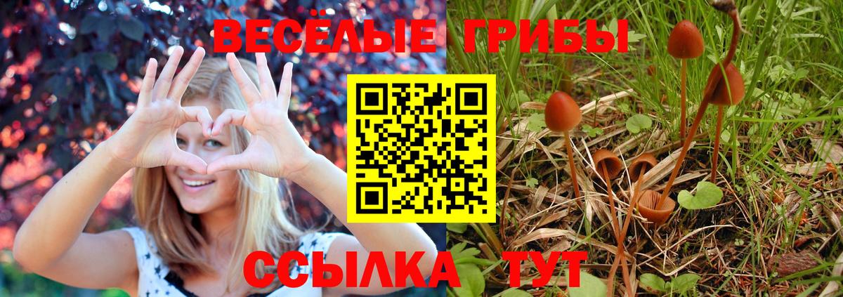 Галлюциногенные грибы мицелий Нефтеюганск