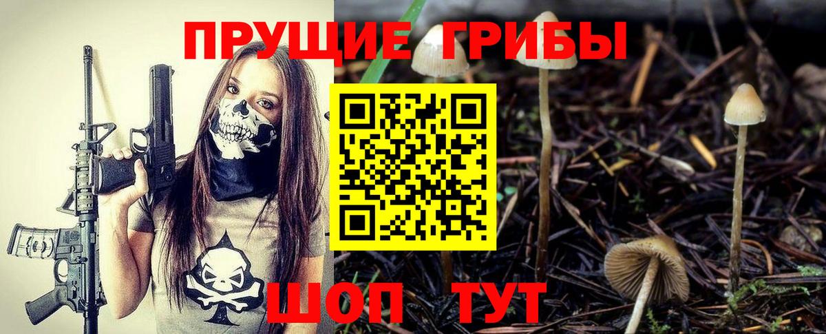 Нефтеюганск  Псилоцибиновые грибы Psilocybine cubensis  Вход с VPN 
